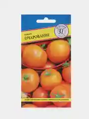 Семена Томат "Очарование"