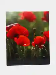 Лесной зеленый фотоальбом "Ассорти", 200 фото, 10 х 15, твёрдая обложка