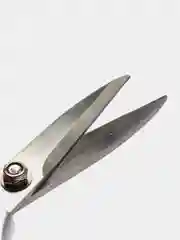 Серебряный кухонные, универсальные ножницы