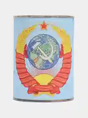 Подарочный набор носков в банке, 5 пар