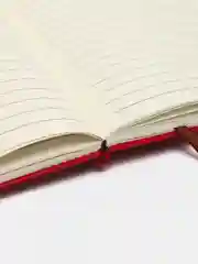 Красный ежедневник, блокнот с застежкой