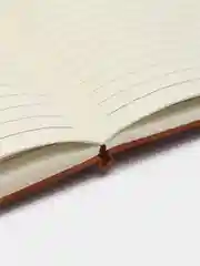 Зеленый ежедневник, блокнот с застежкой