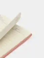 Розовый ежедневник, блокнот с застежкой