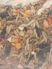 Пшеница c добавками
