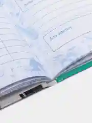 Дневник для музыкальной школы "Гитары на белом", артикул 60337