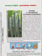 Огурец "Китайский холодоустойчивый", 0,2 г, Седек