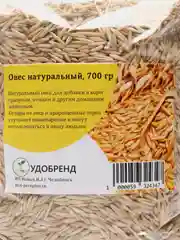 Овес натуральный в оболочке для проращивания, корм, сидерат