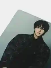 Белый карточки K-POP "BTS", "Dicon"