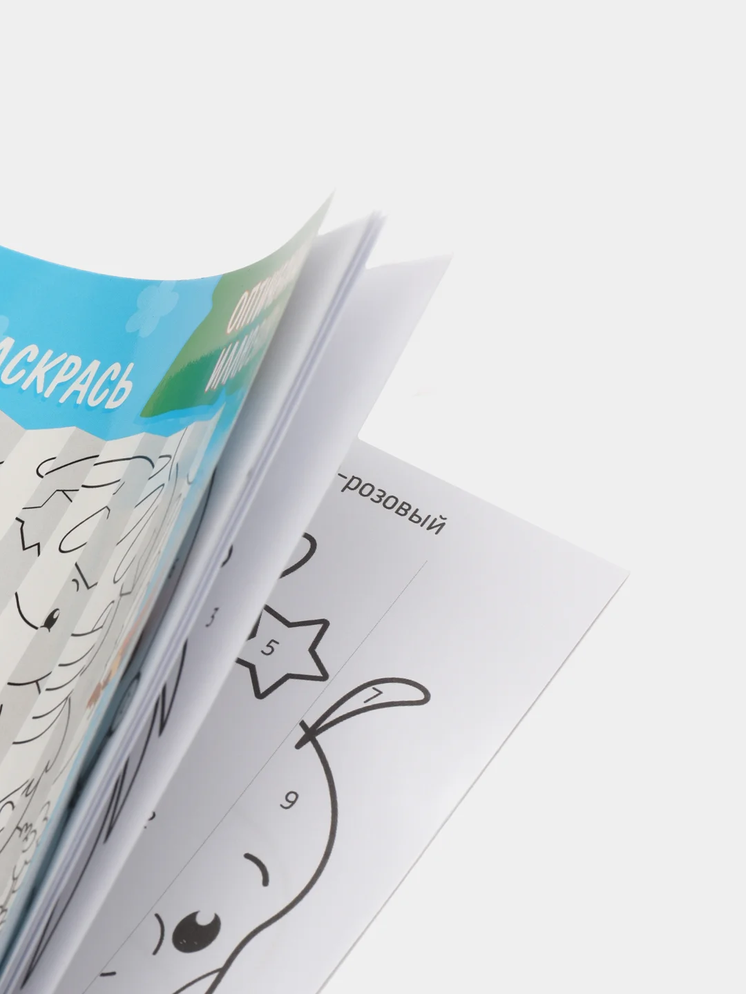 Раскраска для детей, серия "Секретная гармошка. Живой Мир", 8 л, арт. 59252/ 290 х 210 мм