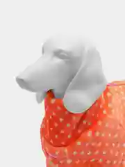 Комбинезон для собак ForMyDogs