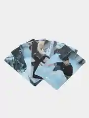Ледяной карточки K-Pop Stray Kids, MAXIDENT