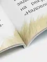 Рассказы. Борис Житков. Для самостоятельного чтения