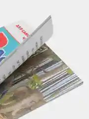Рассказы. Борис Житков. Для самостоятельного чтения