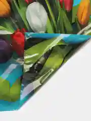 Алый пакет подарочный 8 марта, с вырубной ручкой, 20 х 30, 5 штук в наборе