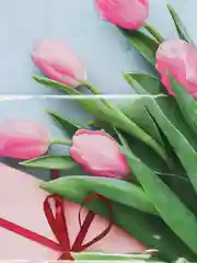 Алый пакет полиэтиленовый  с вырубной ручкой,подарочный, плотный, 30х40 2 штуки в наборе