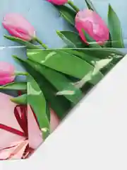 Алый пакет полиэтиленовый  с вырубной ручкой,подарочный, плотный, 30х40 2 штуки в наборе