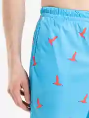 Голубой мужские шорты, пляжные, 6 цветов