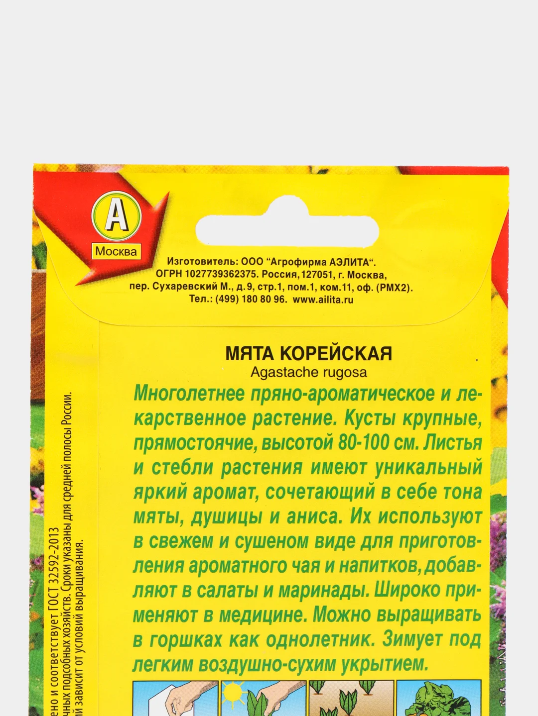 Мята АЭлита "Корейская"