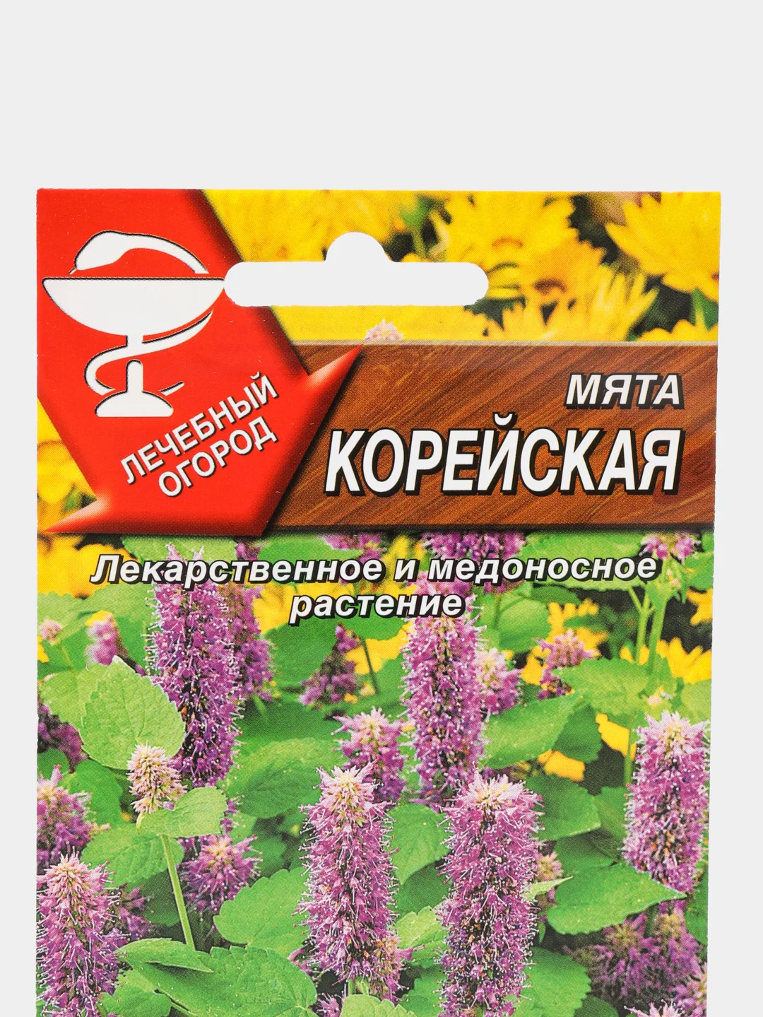 Мята АЭлита "Корейская"