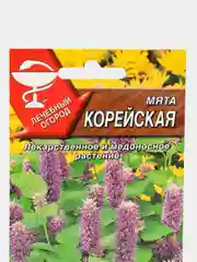 Мята АЭлита "Корейская"