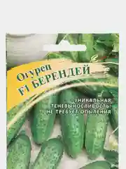 Семена огурца "F1 Берендей", 10 штук
