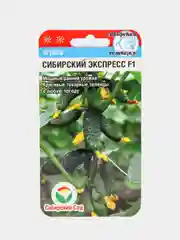 Огурец Сибирский сад "Сибирский экспресс F1", 7 штук