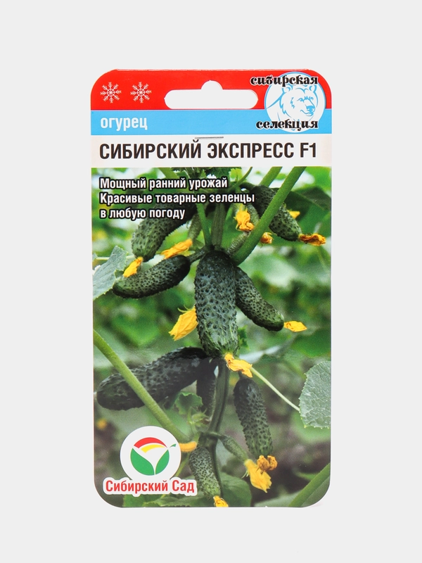 Огурец Сибирский сад "Сибирский экспресс F1", 7 штук
