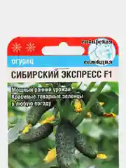 Огурец Сибирский сад "Сибирский экспресс F1", 7 штук