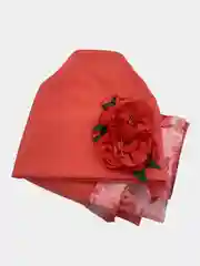 Кораллово-розовый шапка молодежная, с хомутом, пять видов
