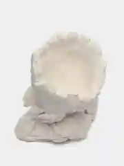 Грут Деревяшкин