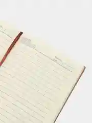 Желтый ежедневник недатированный