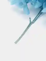 Разноцветный сухоцветы в контейнере
