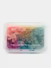Разноцветный сухоцветы в контейнере