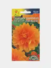 Георгина "Фигаро оранжевая", семена, цветы