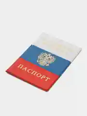Обложка для паспорта, цвет триколор