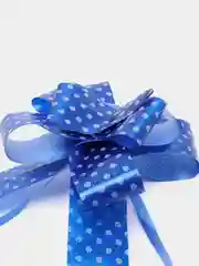 Морской бант-бабочка
