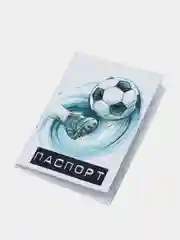 Обложка на паспорт "Футбол"