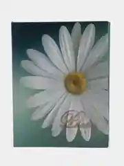 Белый фотоальбом 100 фото, 10х15, "Цветы", твёрдая обложка