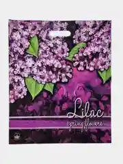 Алый пакет подарочный, ламинированный/ 37 x 46 см/Набор из 3,5 штук/Пакет на все случаи жизни