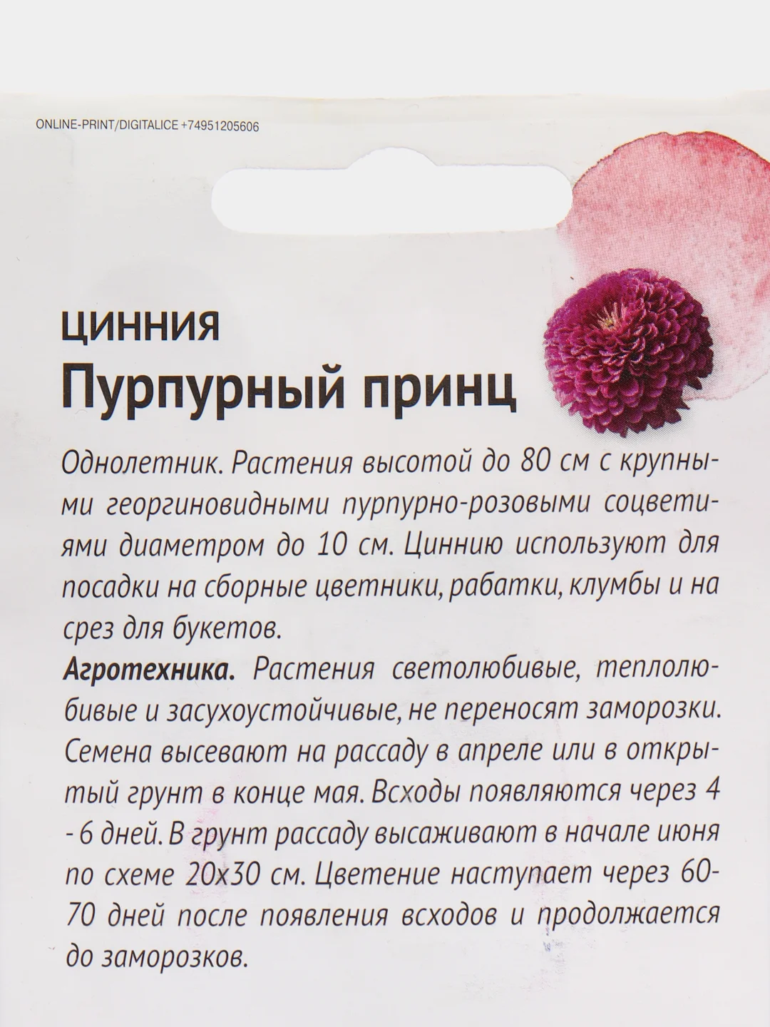 Семена цветов Цинния "Пурпурный принц", 0,5 г