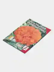 Манго семена цветов Бархатцы (тагетес) разные сорта