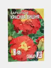 Красный семена цветов Бархатцы (тагетес) разные сорта