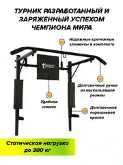 Турник Absolute Champion Прогресс черный усиленный, 300 кг. Турник настенный брусья пресс
