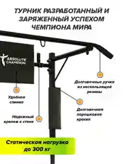 Турник Absolute Champion Прогресс черный усиленный, 300 кг. Турник настенный брусья пресс
