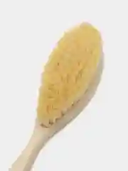 Щетка из кактуса для сухого массажа, жесткая