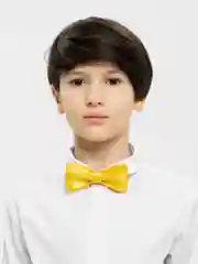 Желтый бабочка-галстук для мальчика