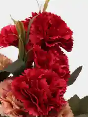 Красный искусственные цветы, гвоздики