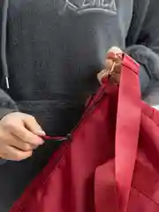 Красный спортивная сумка дорожная для фитнеса