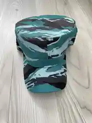 Синий кепка, бейсболка для активного отдыха