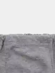 Трусы серые, детские